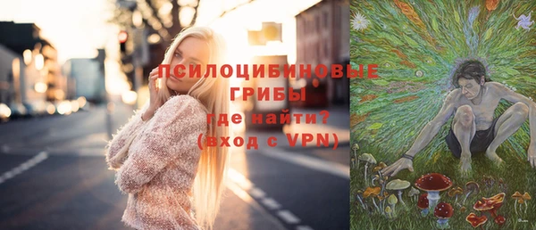 гашиш Новодвинск