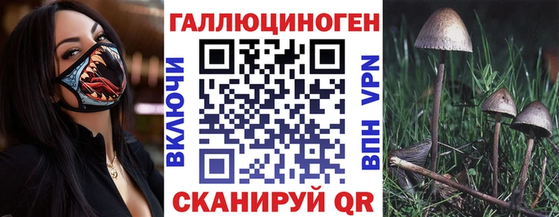 Псилоцибиновые грибы Psilocybe  Северская 